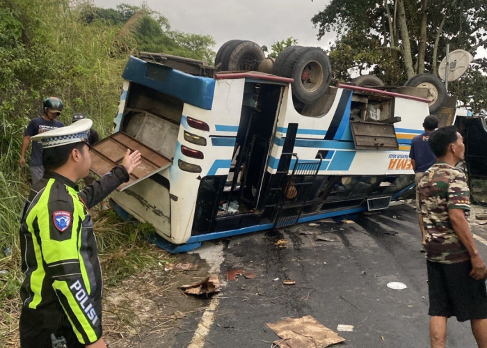 Tak Kuat Menanjak, Bus Berpenumpang 28 Orang Terguling, di Pinggir Danau Ranau
