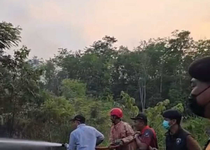 Sekda Lahat Berjibaku Padamkan Karhutla