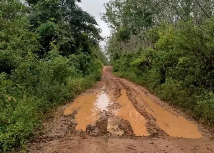 Jalan Rusak di Desa Kuang Dalam Ogan Ilir Dikeluhkan Warga, Lantaran Bikin Aktivitas Terganggu