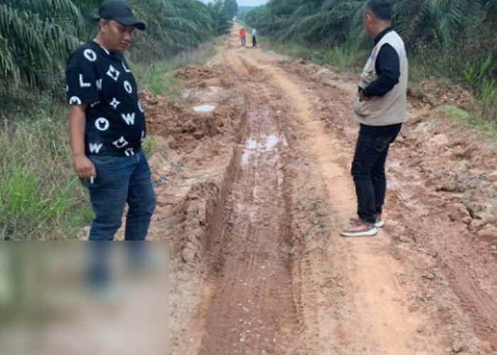 Aktivitas Warga Terhambat, Jalan Kali Deras - Kota Baru Mesuji Rusak Terendam Banjir