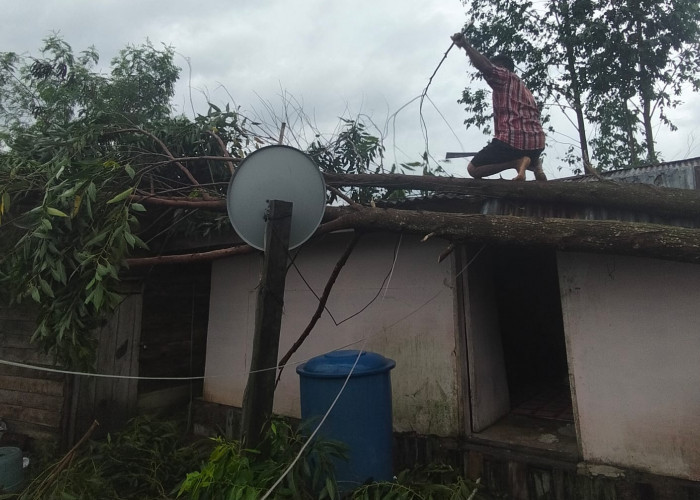 Sejumlah Rumah Warga Trans SP 7 Desa Gajah Mati OKI Dihantam Angin Puting Beliung