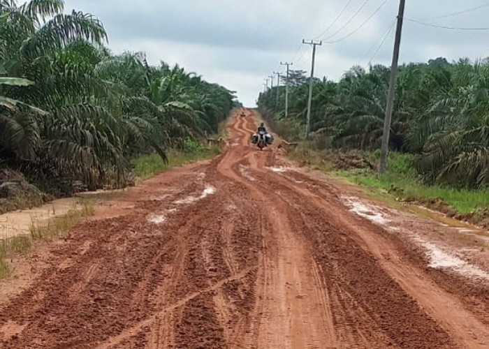 Jalan Sumber Deras - Pematang Panggang Rusak Terendam Banjir, Aktivitas Warga Terganggu, BPBD OKI Turun ke Lap