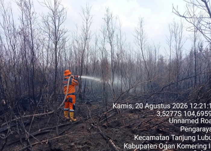Karhutla Masih Terjadi di Sejumlah Kecamatan di OKI, Tulung Selapan 4 Hektar Terbakar
