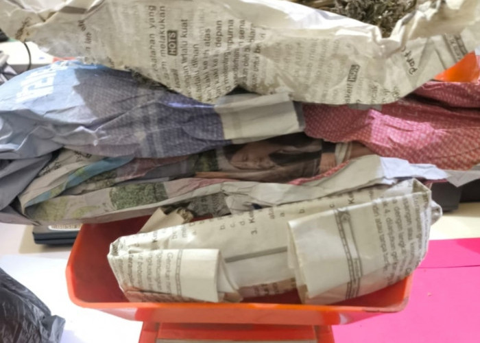 Tak Berkutik! Dua Tersangka Asal Jambi Dibekuk Saat Simpan Sabu dan Ganja di Rumah Jarai Lahat