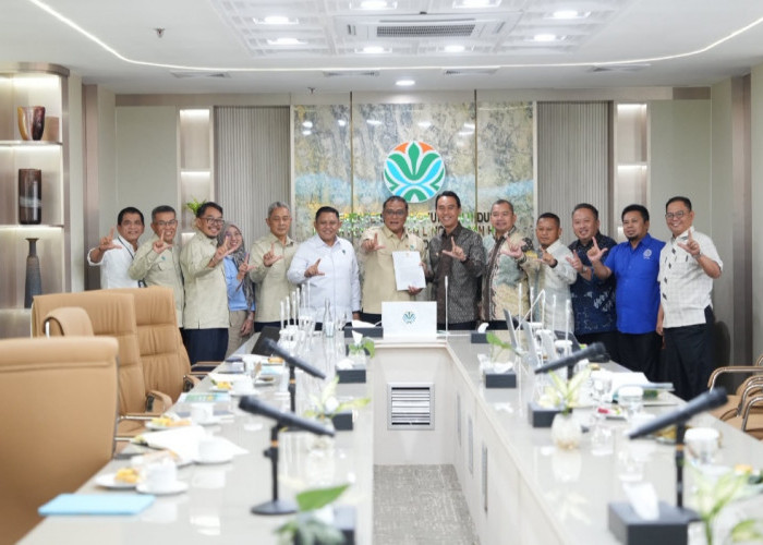 Kementerian LH Prioritaskan Pembangunan Daop Karhutla di OKI pada 2027
