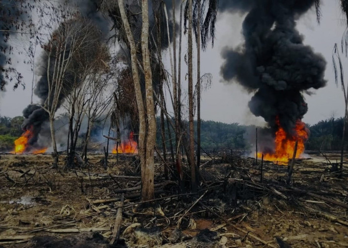  Pipa Penutup Dirusak, 3 Sumur Minyak Ilegal di Sungai Lilin Muba Kembali Terbakar, 3 Warga Ditangkap