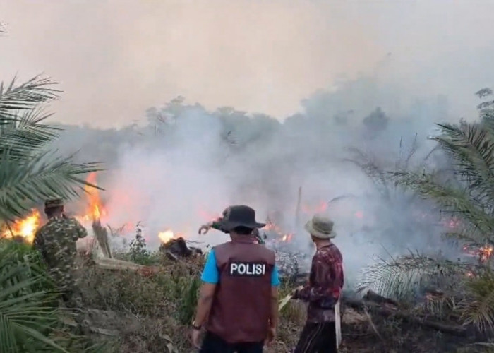 10 Hotspot Karhutla di Musi Rawas Berhasil Dipadamkan, Total Lahan Terbakar 6,8 Hektare