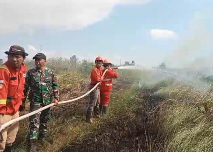 2 Hektare Lahan di Ogan Ilir Terbakar, Personel Gabungan Berjibaku Padamkan Api di Semak Belukar