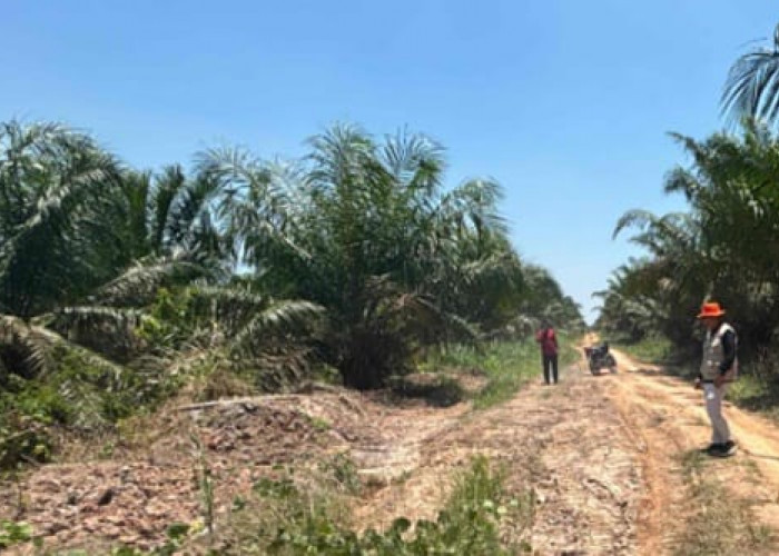 BPBD OKI Turunkan TRC Tangani Jalan Rusak di Mesuji Raya Akibat Hujan Deras