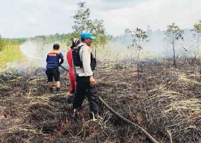 Patroli Susur Sungai Sukses Atasi Kebakaran Lahan di Kawasan Desa Kayu Labu Pedamaran Timur, 10 Hektar Ludes
