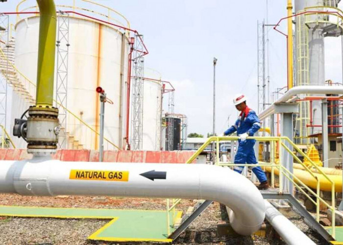 Temuan Sumber Daya dan Cadangan Sukses Bikin Produksi PHE Tembus 1 Juta BOEPD pada 2025
