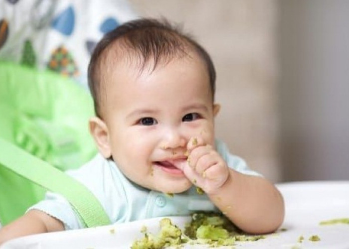 Apa Manfaat Finger Food serta 7 Rekomendasi Menu Terbaik untuk Bayi, Aman dan Sehat?