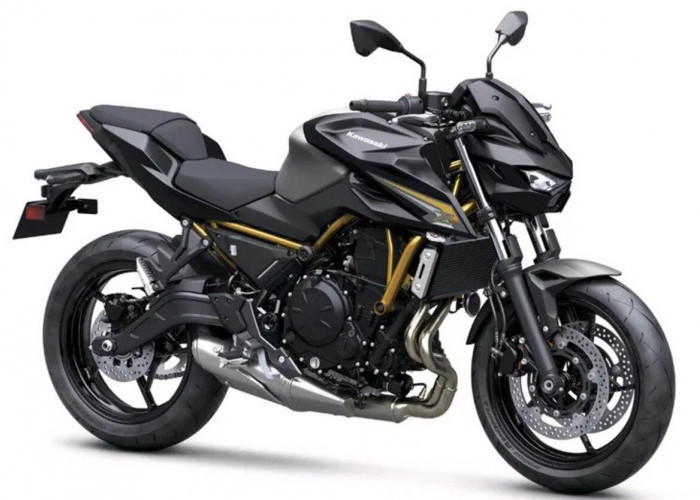 Kawasaki Z650 Tawarkan Performa 649 cc dan Desain Sugomi, Naked Bike yang Siap Memacu Adrenalin