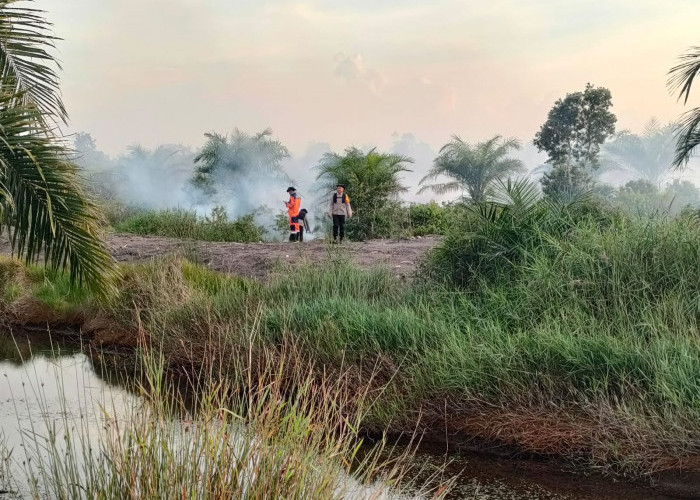 Kebakaran Lahan di Desa Parit Ogan Ilir, Personel Gabungan Berjibaku Padamkan Api dengan Alat Seadanya