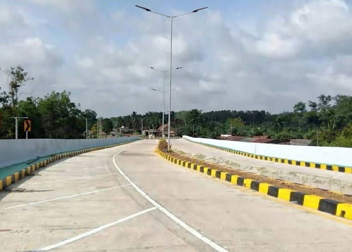 Fly Over Gelumbang Sudah Difungsikan, 5 Fly Over Lagi Siap Bangun di Tahun 2026