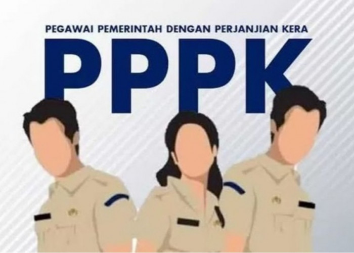 Horee! Regulasi Pengangkatan NIP dan SK PPPK Paruh Waktu Telah Ditetapkan Pemerintah