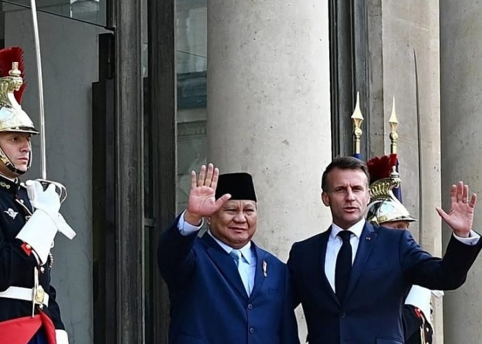 Tekanan Domestik dan Krisis Gaza, Presiden Prancis Akui Negara Palestina, Babak Baru atau Sekadar Simbolik?
