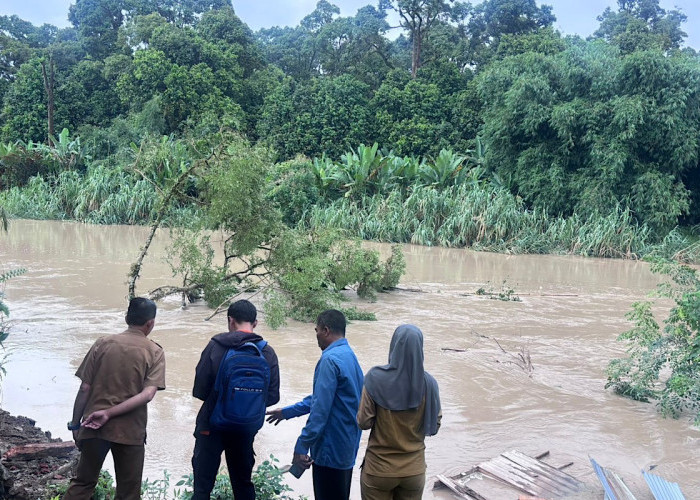 Rumah Sutrisno Sebagian Ambruk Tergerus Sungai Enim, Talud Yang Diharapkan Tak Kunjung Terealisasi
