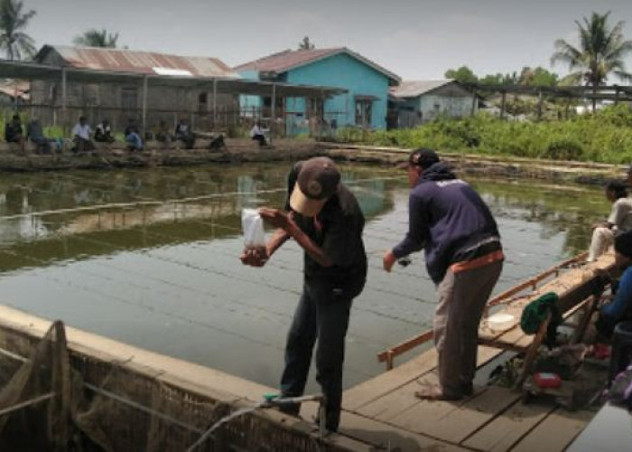 7 Kolam Pemancingan di Palembang, Cocok untuk Tempat Rekreasi Keluarga