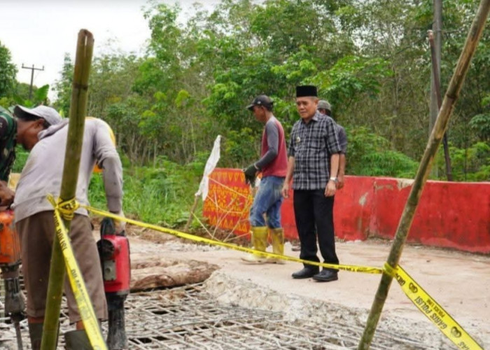Tinjau Jembatan Ambrol di Kecamatan Payaraman, Wabup Ogan Ilir Minta Dibukakan Jalur Alternatif