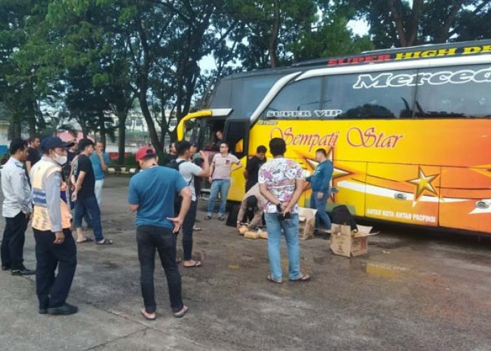 30 Kilogram Ganja Gagal Diselundupkan Lewat Palembang, Diangkut Bus Asal Aceh Tujuan Bandung