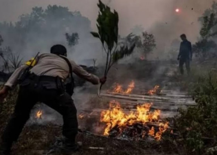 Kuasa Hukum Soroti Kejanggalan dan Motif Gugatan Perbuatan Melawan Hukum Terkait Karhutla