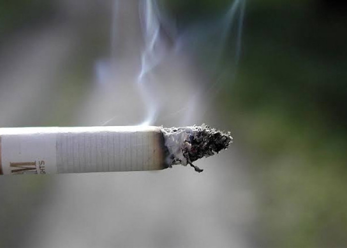 Waspada, Ternyata Merokok Setelah Makan Bisa Membahayakan Tubuh, Simak Penjelasannya