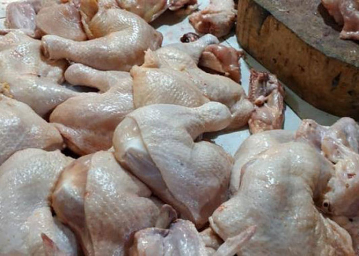 Harga Ayam Potong di Palembang Turun, Cabai Rawit Beranjak Naik