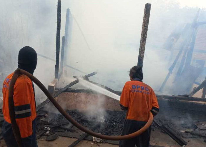 Kebakaran Lahan Sebabkan Gedung SDN 02 Indralaya Selatan Ikut Terbakar, Disdikbud Ogan Ilir Liburkan Siswa
