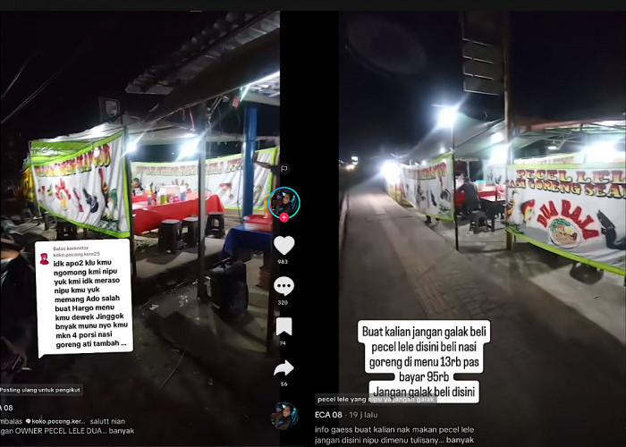 Viral Warung Pecel Lele di Km12 Dituding Getok Harga Mahal, Menu Rp13 Ribu Bayar Rp95 Ribu