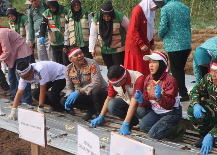 Polda Gaspol Tanam 200 Kg Bawang Putih Serentak di Empat Lawang, Dorong Swasembada Pangan