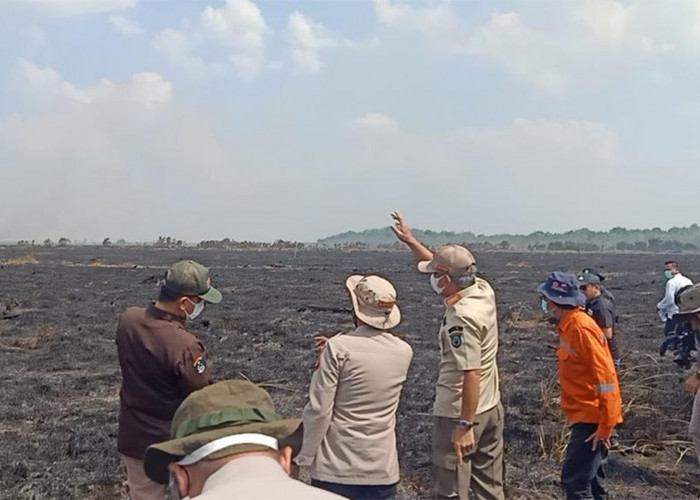 WOW! Ratusan Hektar Lahan Gambut Sepucuk OKI Terbakar, Bupati Iskandar Langsung Tinjau Lokasi