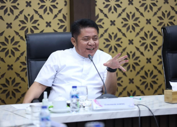 Herman Deru Tegaskan Kebijakan Sumsel Harus Berbasis Data Statistik