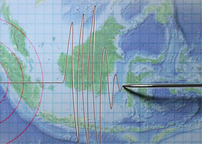 Gempa Landa Halmahera Barat, ini Kekuatannya