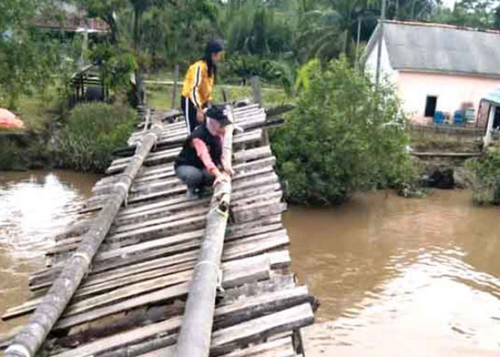 Beratnya Perjuangan Petugas Pantarlih  Banyuasin, Harus Merangkak di Lantai Jembatan