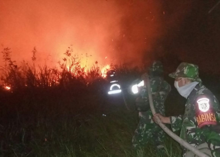 15 Hektare Lahan di Pemulutan Terbakar, Dandim 0402/OKI-OI Turun Langsung Pimpin Penanganan