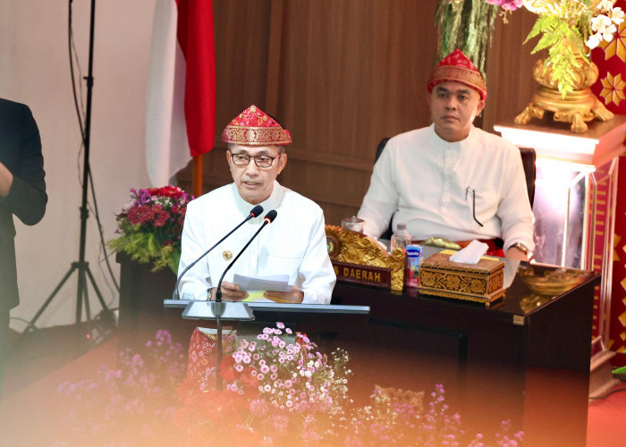 HUT ke-1.343: Ratu Dewa Beberkan Rekor IPM, Gubernur Sumsel Puji Palembang sebagai Role Model Pembangunan