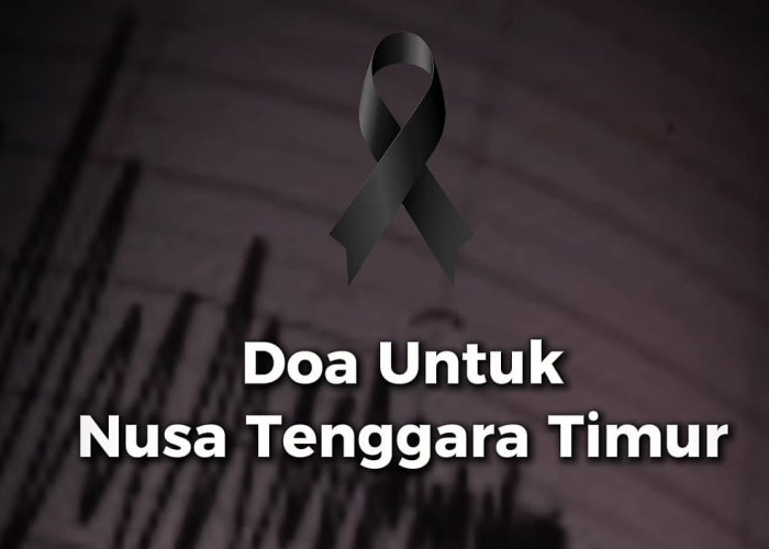 Korban Meninggal Gempa M7,7 NTT Bertambah Tembus 38 Orang, 50 Ribu Paket Sembako Segera Dikirim