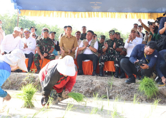 Hadapi El Nino, Gubernur dan Danrem Tanam Padi di Kabupaten OKI sebagai Lokus Percepatan 