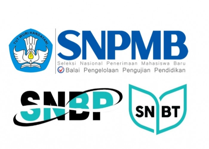 Hari Ini, Pengisian PDSS SNBP 2025 Dimulai Pukul 15.00 WIB, Sekolah Harus Teliti Saat Isi Data