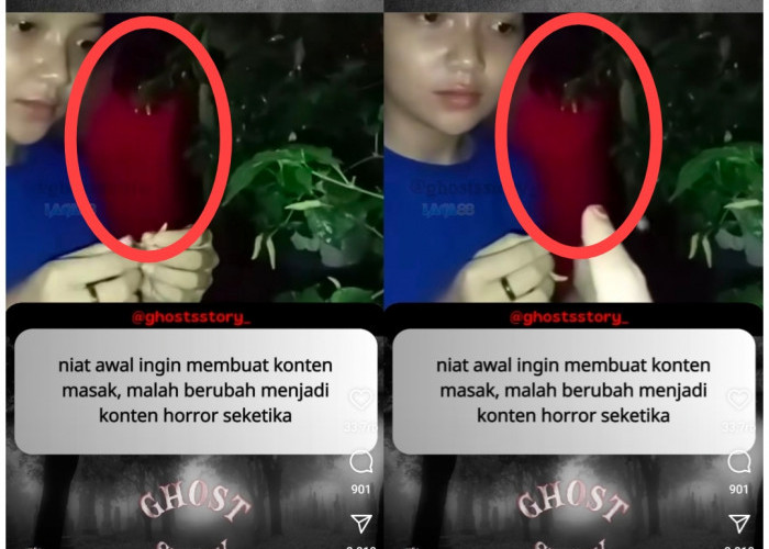 Gagal Takut, Warganet Dibikin Ngakak Saat Petik Cabai Terekam Kuntilanak Merah Malah Baca Doa Makan