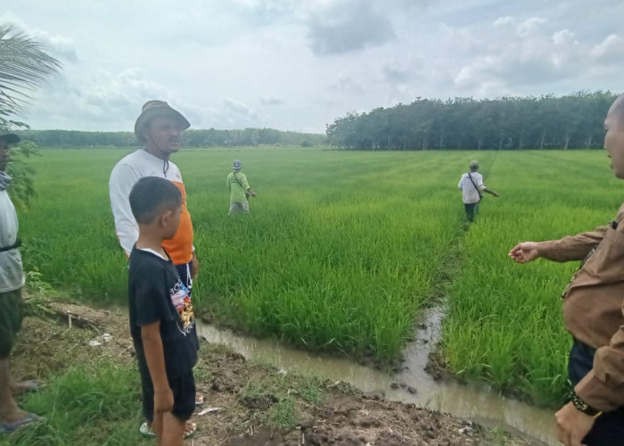 Ditreskrimsus Polda Sumatera Selatan Monitoring Penyaluran Pupuk Bersubsidi di Banyuasin