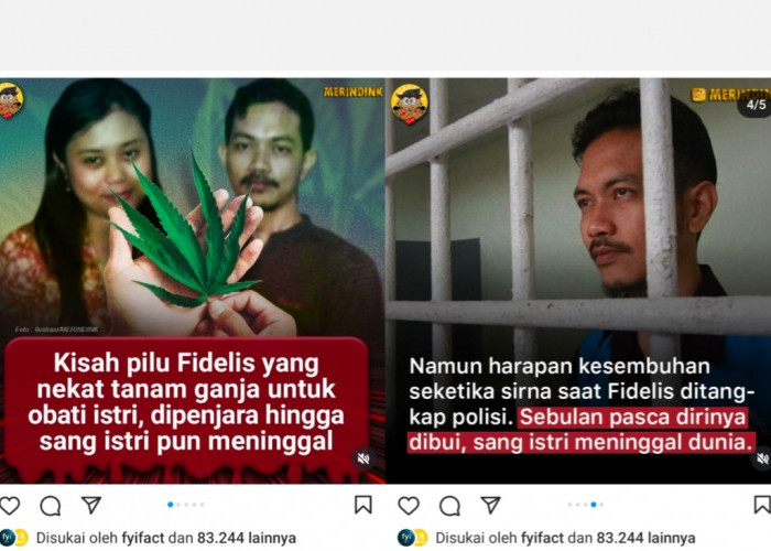 Kisah Fidelis Nekat Tanam Ganja untuk Obati Istri Berakhir Tragis, Dipenjara dan Istri Meninggal