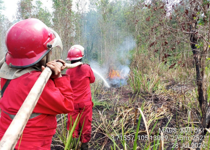 Karhutla di OKI Terus Meluas 10 Hektar Lahan Gambut Terbakar di Kecamatan Tanjung Lubuk OKI