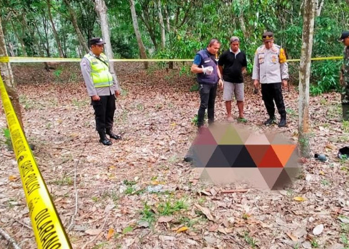 Kepergok Pemilik Kebun, Pencuri Jengkol di Musi Rawas Tewas Dikeroyok 