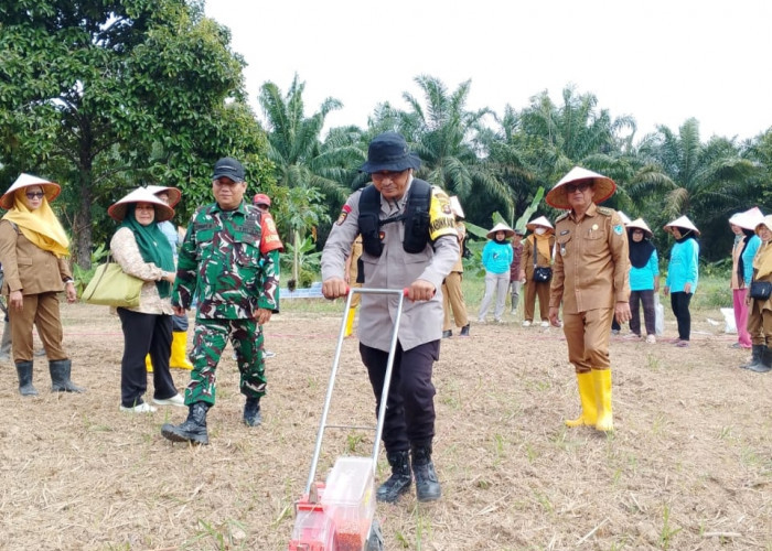 Polsek Indralaya Ogan Ilir Tanam Jagung di Sukaraja Baru, Wujudkan Ketahanan Pangan Desa