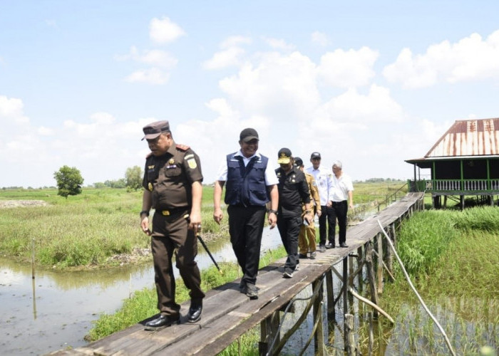 Sumsel Ditantang Syahrul Yasin Limpo Tambah Lahan Tambah Tanam Hingga 150 Ribu Hektar