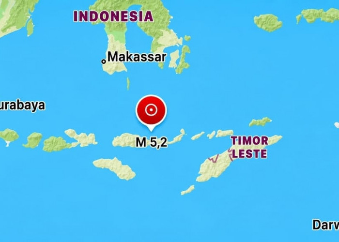Ratusan Aktivitas Gempa Tercatat di Flores Rabu Pagi, Terbaru Gempa M 5,2 Guncang Nagekeo,