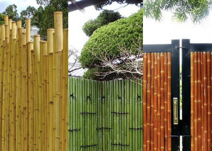 Solusi Ekonomis Bikin Tampilan Luar Rumah Jadi Lebih Cakep, Ini 5 Desain Pagar Bambu Minimalis Estetik
