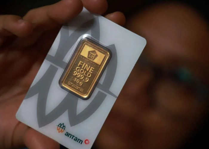 Update Harga Emas Antam 15 Juni 2026: Dari 0,5 Gram hingga 1 Kg